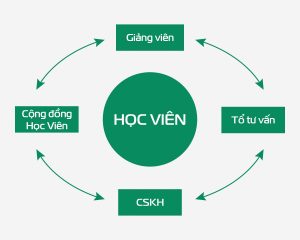 hỗ trợ học viên digital lab